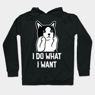 What I Want Hoodie